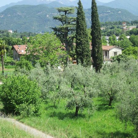 Agriturismo Bonu Gabriele Salò Eksteriør bilde