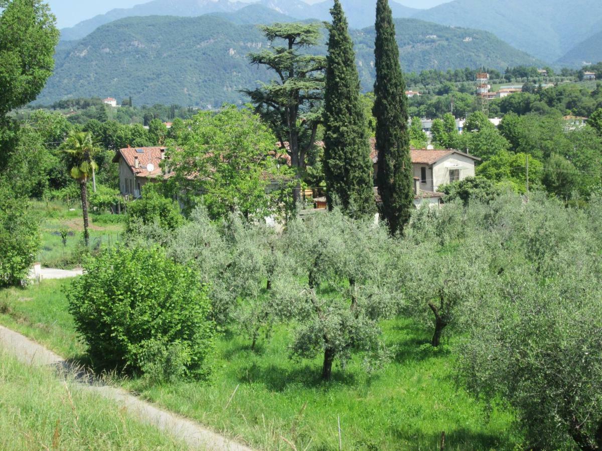 Agriturismo Bonu Gabriele Salò Eksteriør bilde